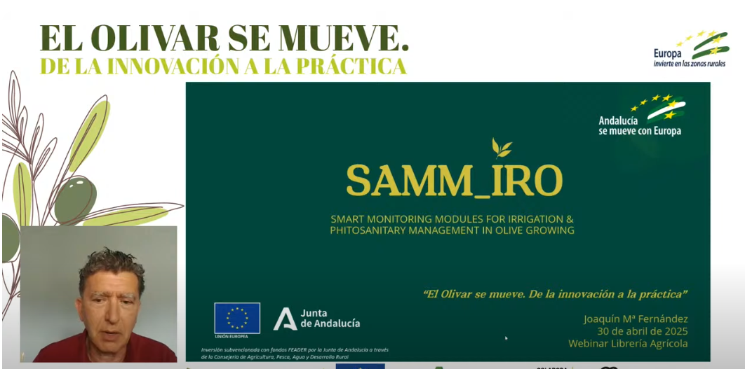 Noticia 10